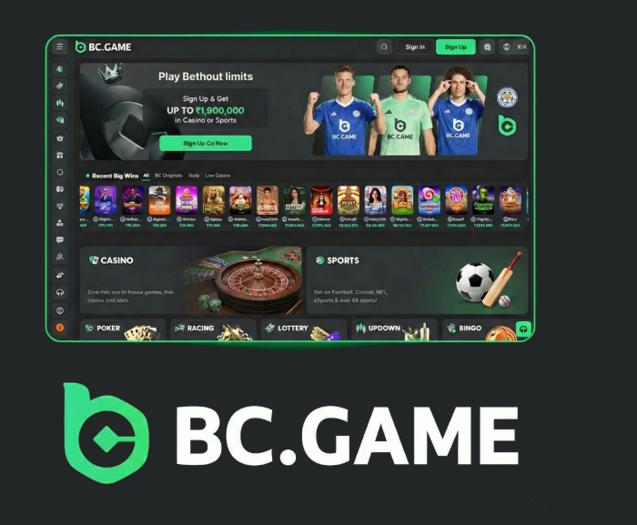 BC.Game Online Platform A Comprehensive Review